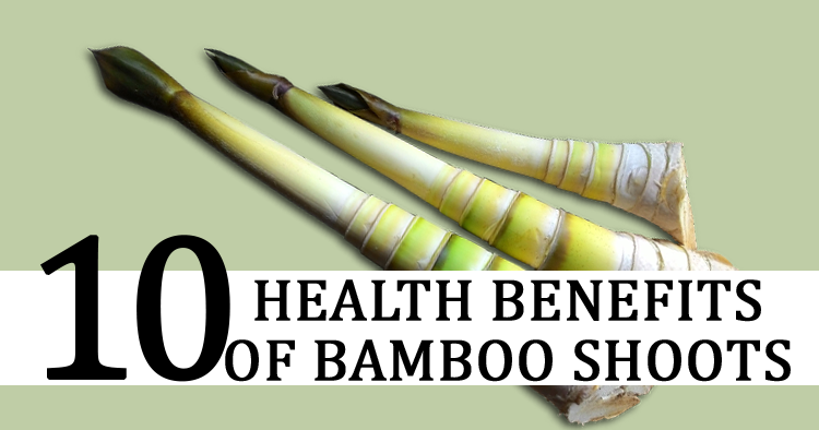 10 Health Benefits of Bamboo Shoots