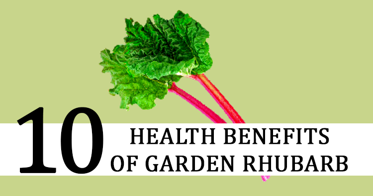 10 Health Benefits of Garden Rhubarb
