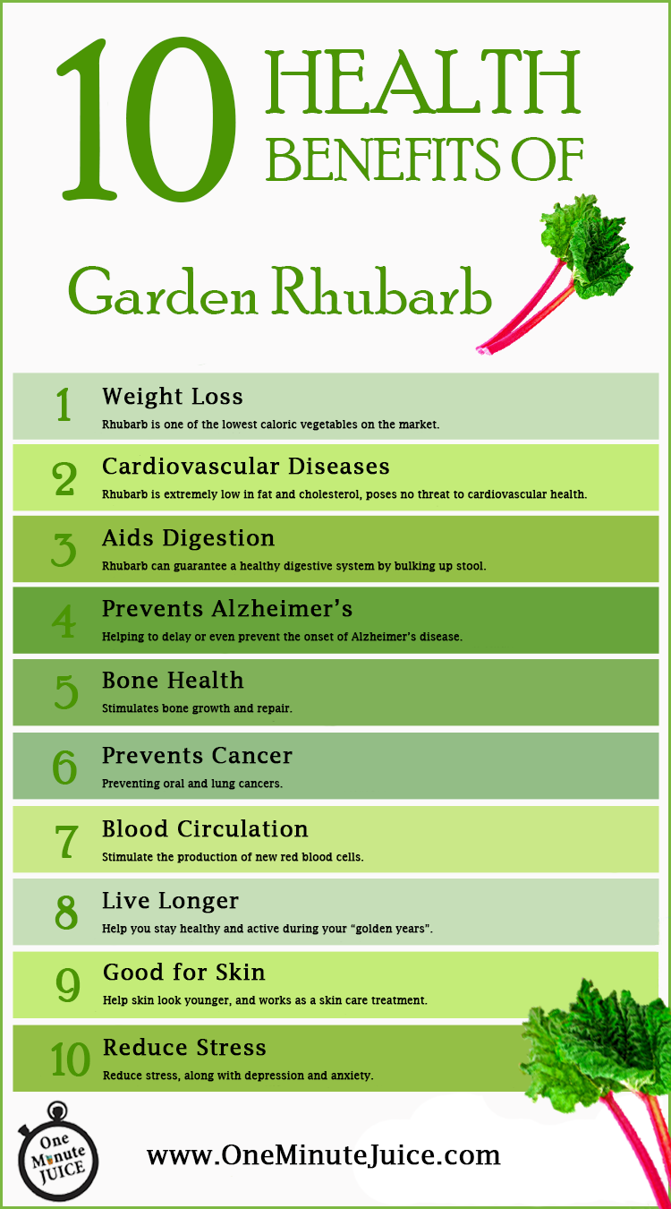 Health Benefits of Garden Rhubarb