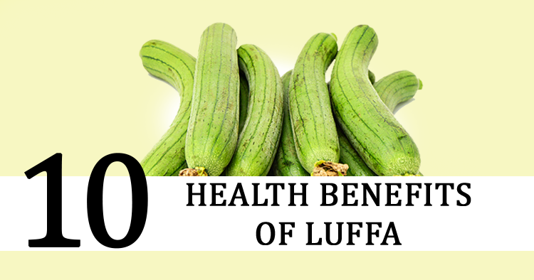 10 Health Benefits of Luffa